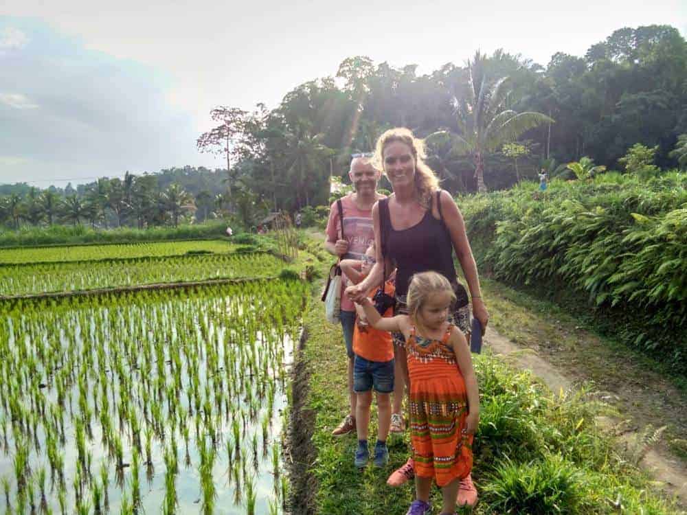 Rice field walk