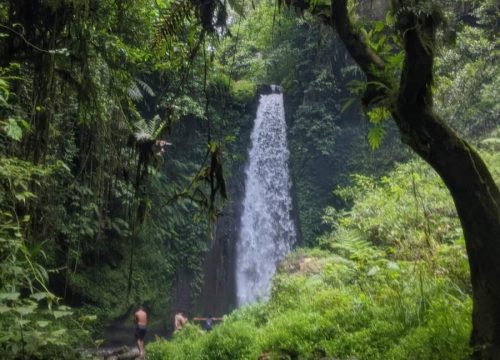 Tetebatu Jungle Trek: Day Trip Mayung Polak Waterfall