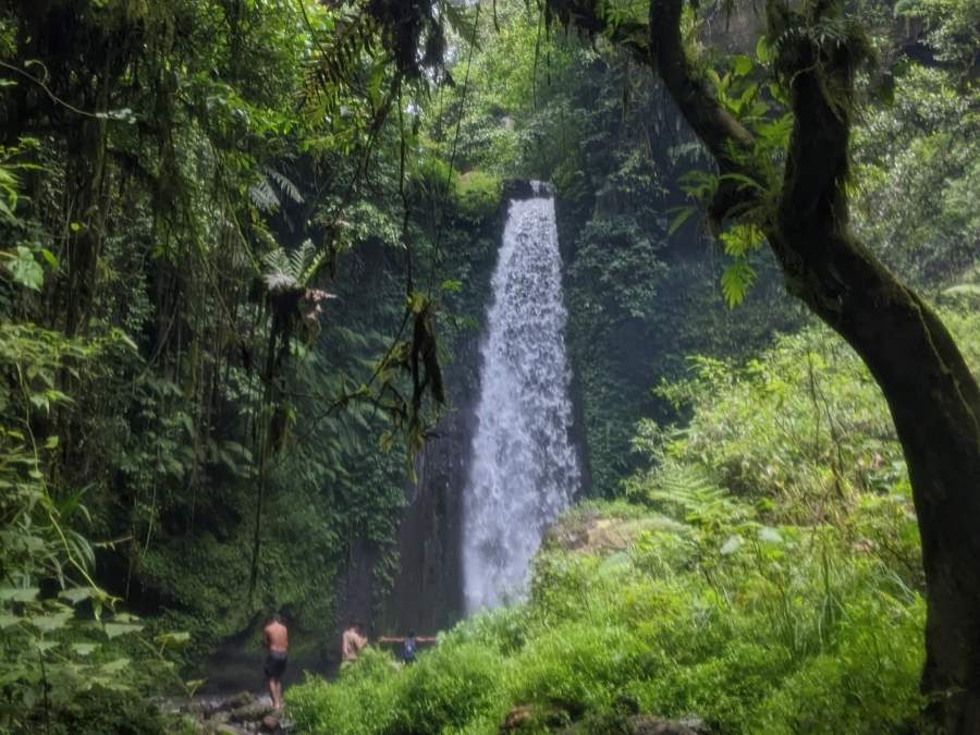 Tetebatu Jungle Trek: Day Trip Mayung Polak Waterfall – Jaya Trekker